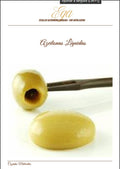 Azeitonas Líquidas